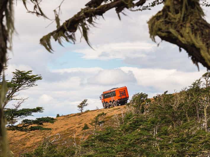 Puerto Natales: Cerro Dorotea 8x8 Tour with Panoramic Views - A short walk through native forest