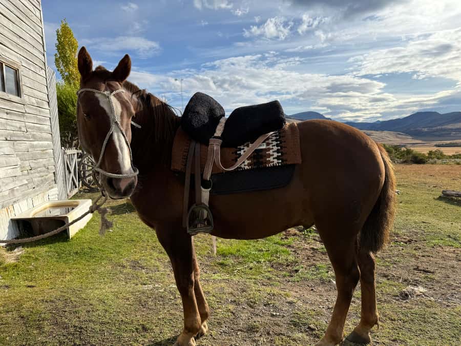 Puerto Natales: Full Day Horse Riding to the Mountains - Key points to know before booking
