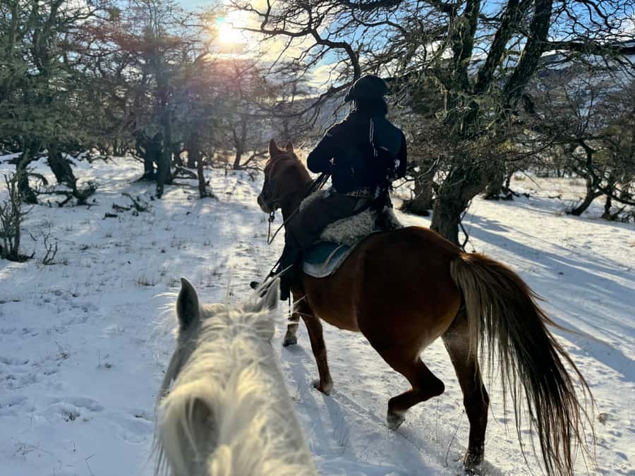 Puerto Natales: Full Day Horse Riding to the Mountains - Three hours through forests, lakes, and river crossings