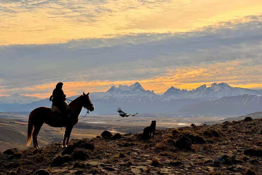 Puerto Natales: Full Day Horse Riding to the Mountains - A homemade picnic after the morning ride