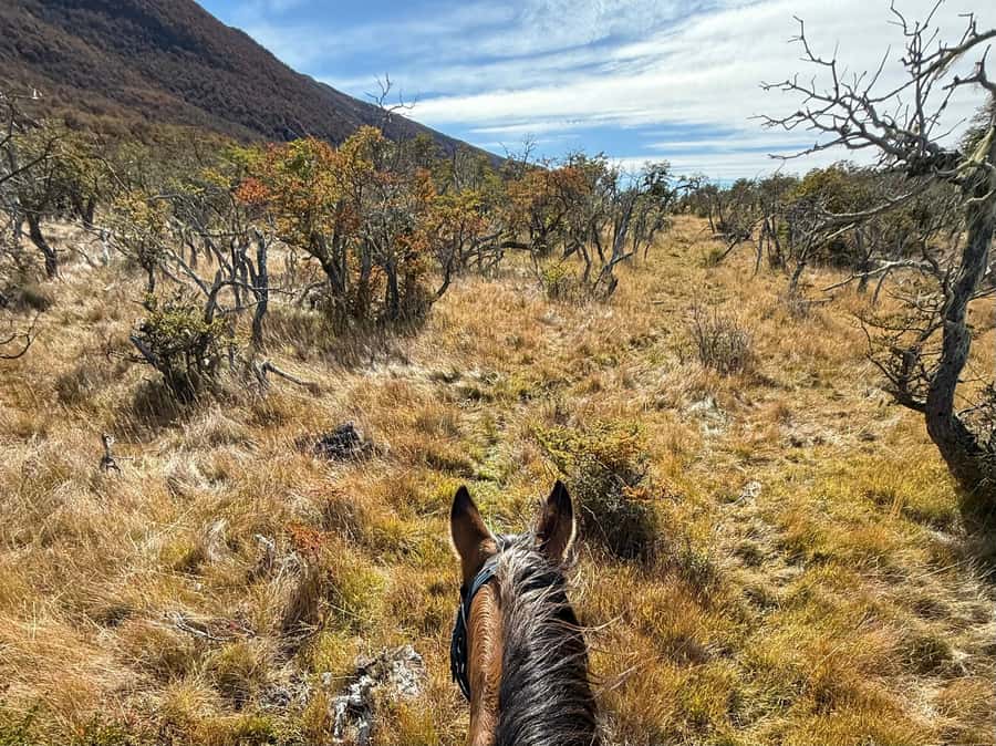 Puerto Natales: Full Day Horse Riding to the Mountains - The mountain viewpoint and the Paine Massif