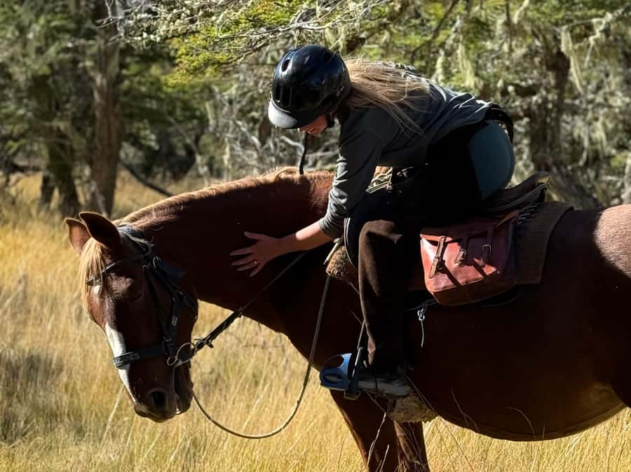 Puerto Natales: Full Day Horse Riding to the Mountains - Optional mindfulness at the top