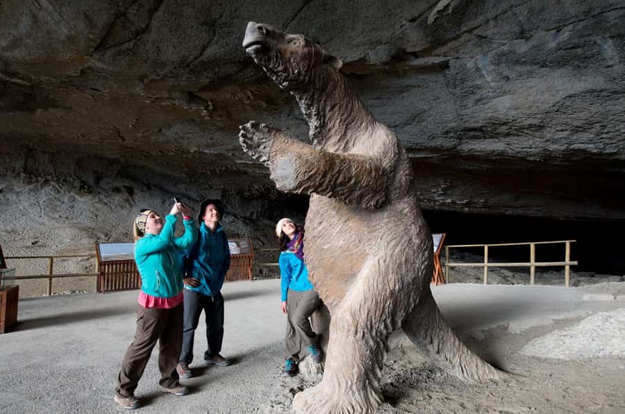 Puerto Natales: Full Day Torres del Paine + Milodon Cave - Why this day trip makes sense from Puerto Natales