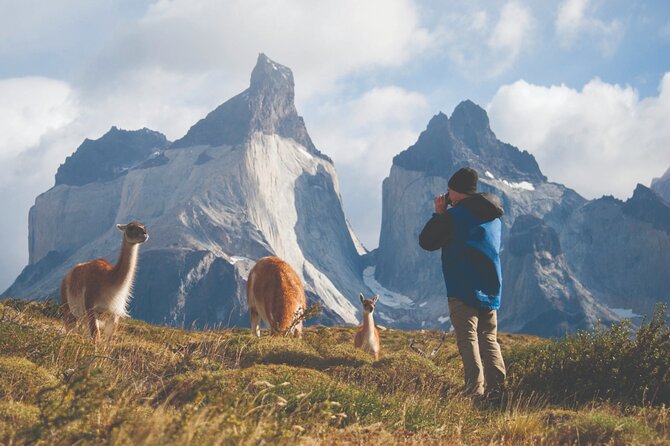 Puerto Natales Full Day Torres del Paine plus Milodon Cave - Key points to know before you book