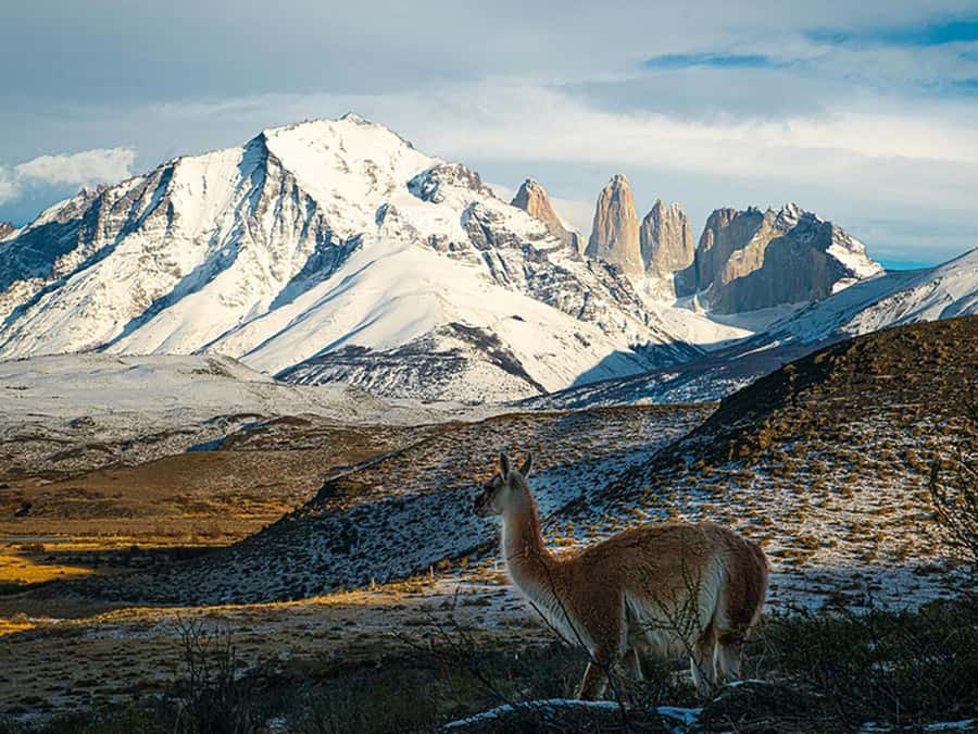 Puerto Natales: Full-Day Torres del Paine Tour - Key points at a glance