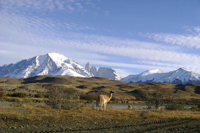 Puerto Natales: Full day tour Torres del Paine - Why this Puerto Natales day tour works