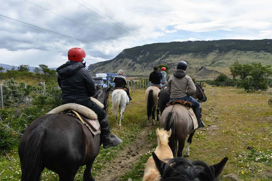 Puerto Natales: Horseback Riding to Dorotea Fjord Lookout - Key points at a glance