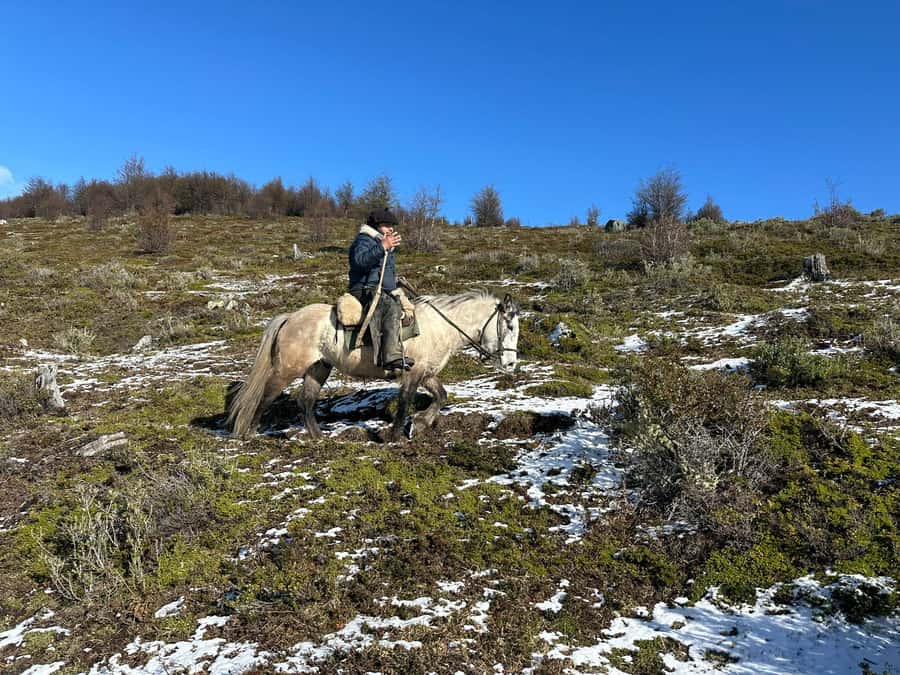 Puerto Natales: Horseback Riding to Dorotea Fjord Lookout - Hotel pickup makes the four-hour schedule easy