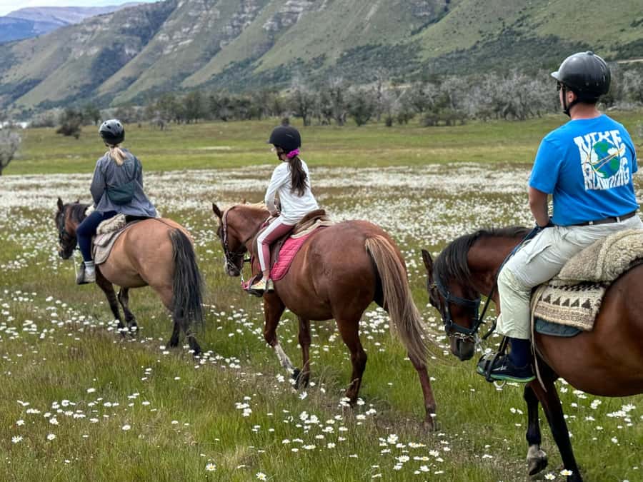 Puerto Natales: Horseback Riding with Horse Connection - Key points to know before you book