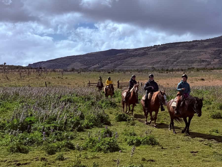 Puerto Natales: Horseback Riding with Horse Connection - Who should book this Puerto Natales ride?