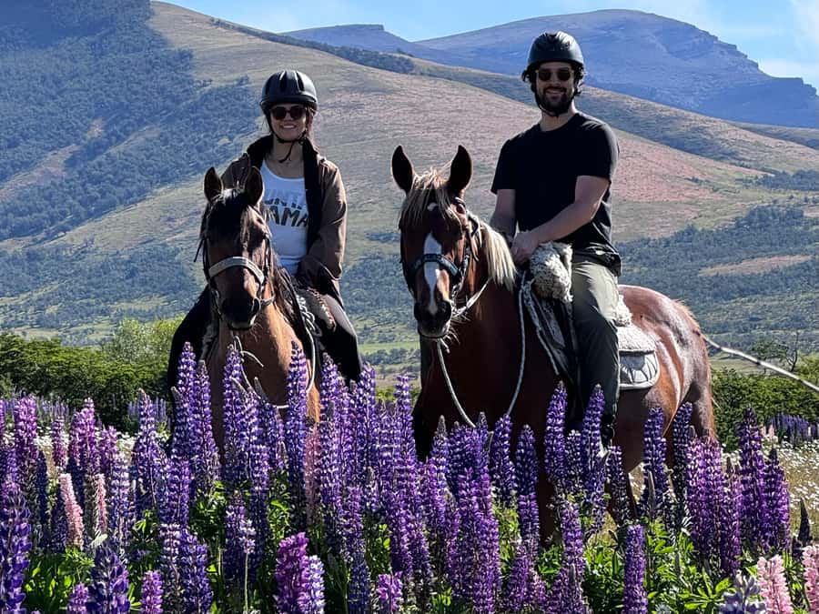 Puerto Natales: Horseback Riding with Horse Connection - Meeting Lynn and the horses at Hotel Posada 3 Pasos