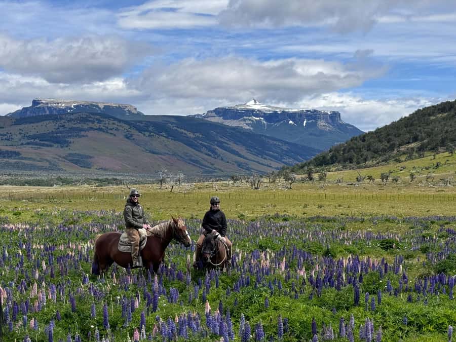 Puerto Natales: Horseback Riding with Horse Connection - Riding north toward Lake Figueroa