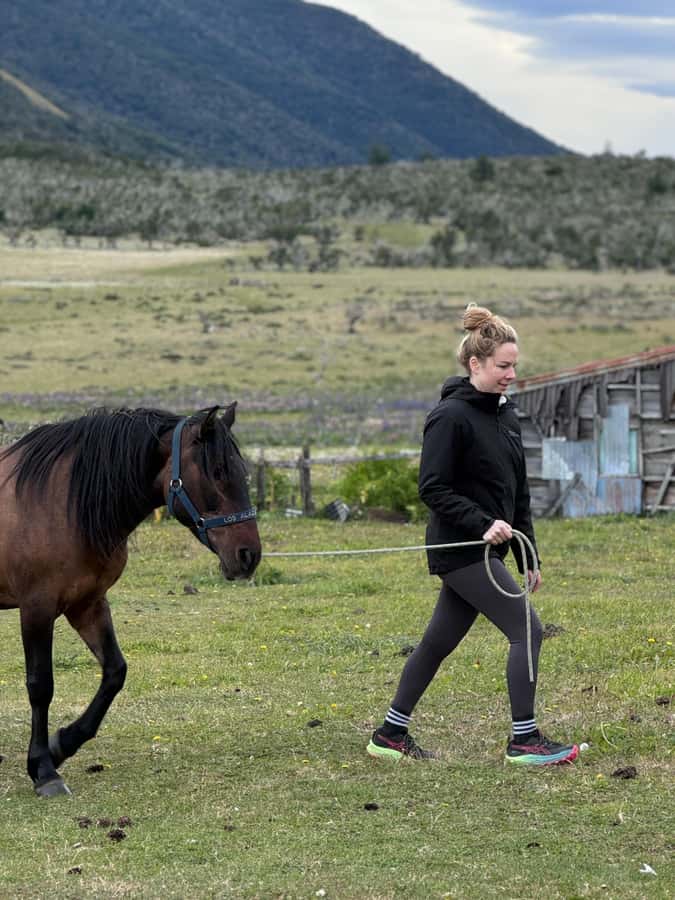Puerto Natales: Horseback Riding with Horse Connection - The full day for confident riders