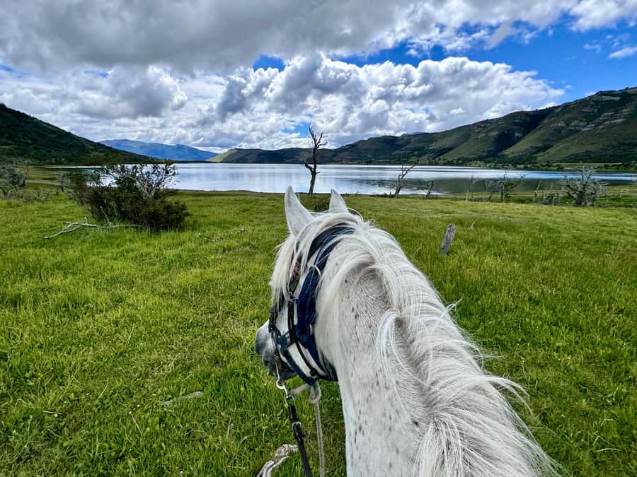 Puerto Natales: Horseback Riding with Horse Connection - What makes the horse connection different