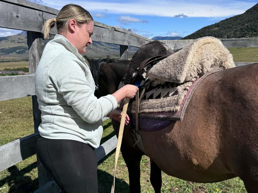 Puerto Natales: Horseback Riding with Horse Connection - Tea, treats, and the return to the barn