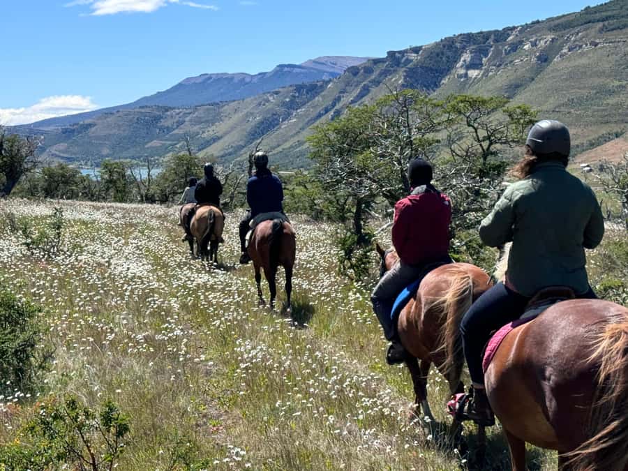 Puerto Natales: Horseback Riding with Horse Connection - What to wear and what to bring