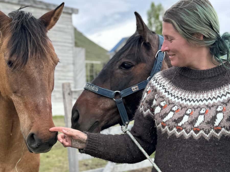 Puerto Natales: Horseback Riding with Horse Connection - Brushing, saddling, and choosing your tack