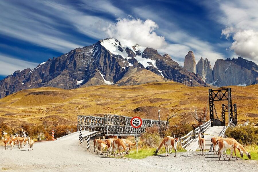 Puerto Natales: Tour Package (Full Day + Base Torres + Grey) - Key points to know before booking