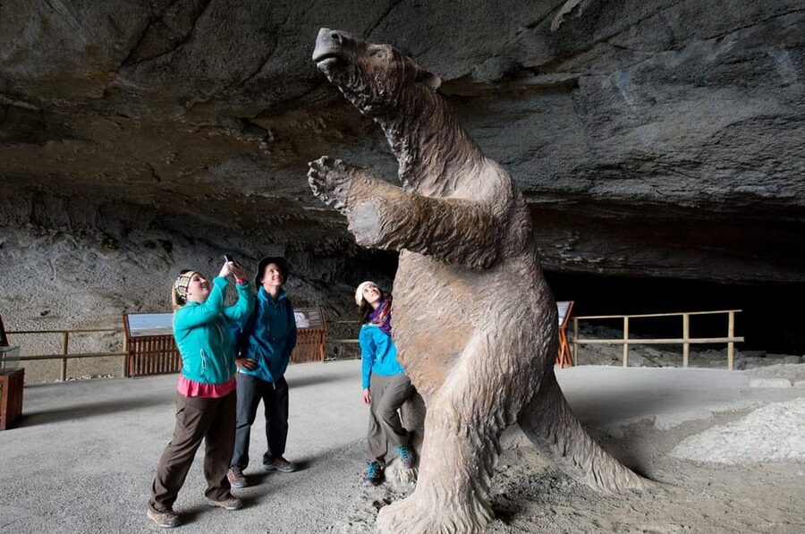 Puerto Natales: Tour Package (Full Day + Base Torres + Grey) - What the guide and group size add