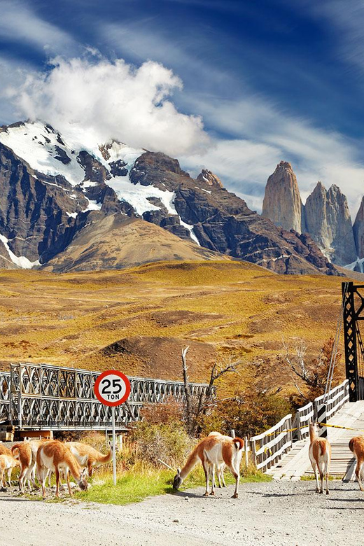 Puerto Natales: Tour Package (Full Day + Base Torres + Grey) - Booking flexibility and practical timing