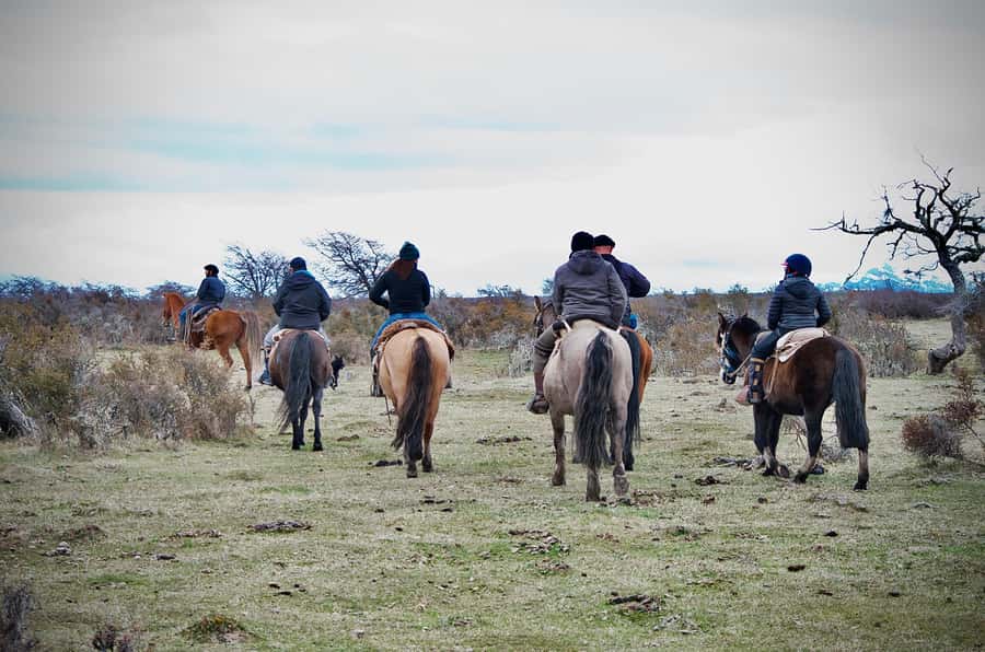 Puerto Natales: Traditional Horseback Riding Experience - Key points at a glance