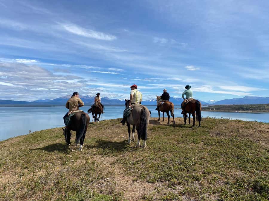 Puerto Natales: Traditional Horseback Riding Experience - Getting comfortable with a gentle horse