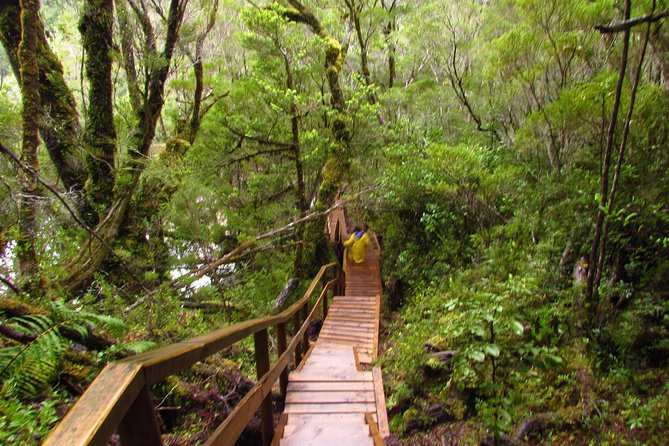 Puerto Varas: Full day Alerce Andino National Park. - Why Alerce Andino is worth a full day