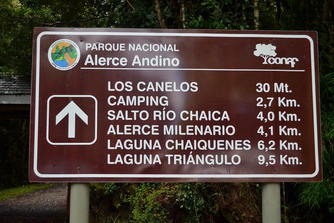 Puerto Varas: Full day Alerce Andino National Park. - What the walking difficulty really means