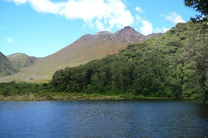 Puerto Varas: Full day Alerce Andino National Park. - Is $145 a fair price?