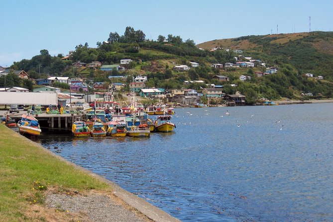 Puerto Varas; Full day, Chiloe island: Ancud, Caulin and Lacuy - Key points to know before you book