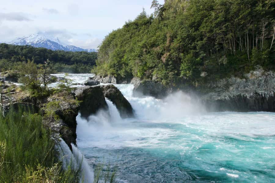 Puerto Varas: Osorno Volcano, Petrohue Falls Full-day Trip - What the $58 price really covers