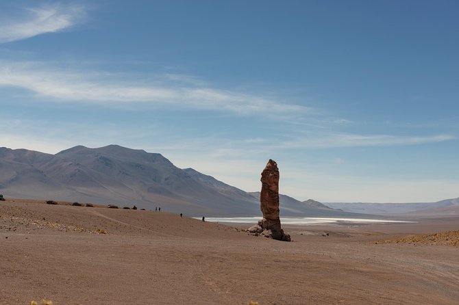 Puna Salt Flats - Full Day Tour - San Pedro de Atacama - Must Visit - Why this high-altitude day trip is worth considering