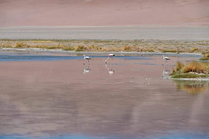 Puna Salt Flats - Full Day Tour - San Pedro de Atacama - Must Visit - Monjes de La Pacana, the stone guardians