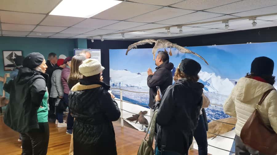 Punta Arenas: City Tour - Looking over the city from Cerro de la Cruz