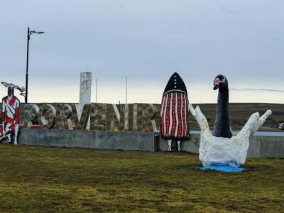 Full Day Tierra del Fuego & King Penguins