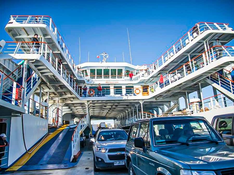 Punta Arenas: Full Day Tierra del Fuego & King Penguins - The guides can shape the whole day