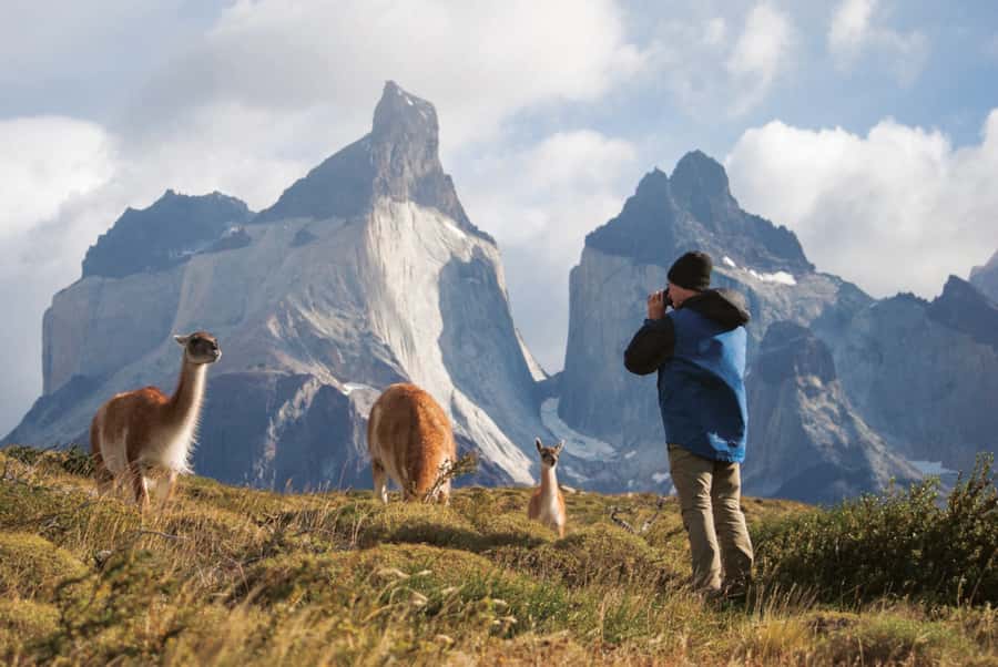 Punta Arenas: Full Day Torres del Paine + Milodon Cave - The early road to Puerto Natales