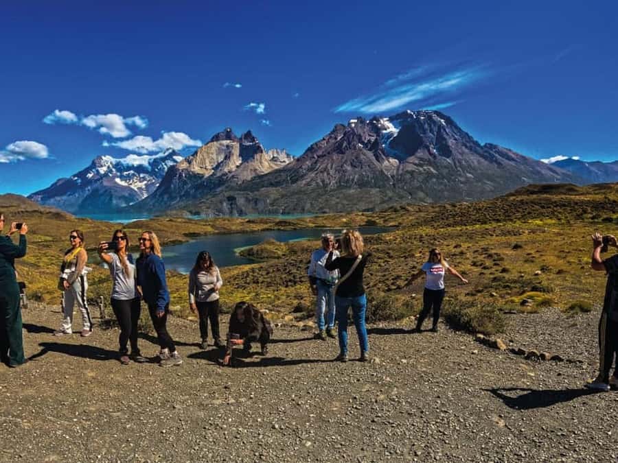 Punta Arenas: Full-Day Torres del Paine Tour - Pehoé viewpoint and the park’s big panorama