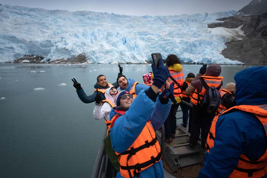Punta Arenas: Full-Day Whales, Penguins, and Glaciers Tour - Key points before you reserve