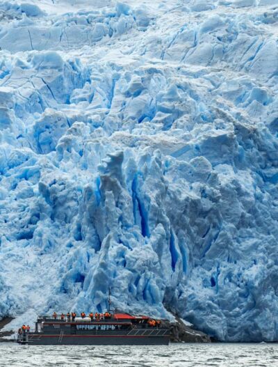 Full-Day Whales, Penguins, and Glaciers Tour