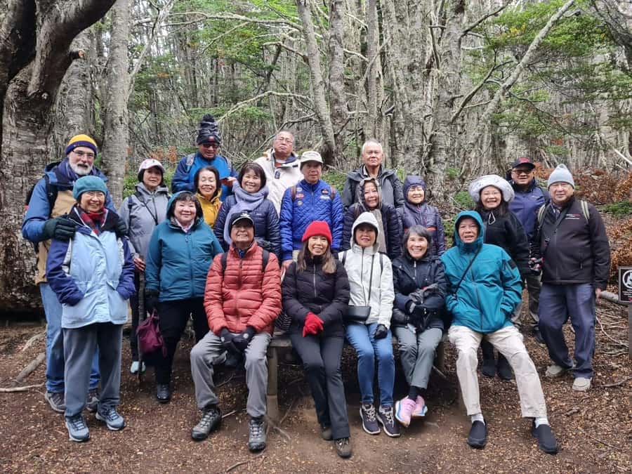 Punta Arenas: Magallanes National Reserve and City Tour - Should you book it?