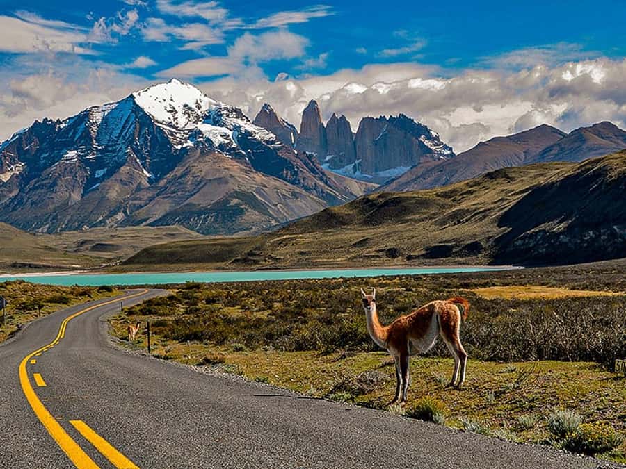 Punta Arenas: Torres del Paine & Grey Glacier Full-Day Boat - Why this day trip appeals to me