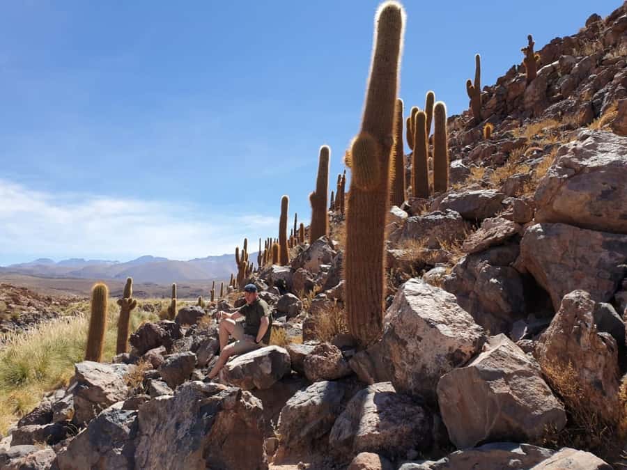 Purilibre Trekking - The highlights at a glance