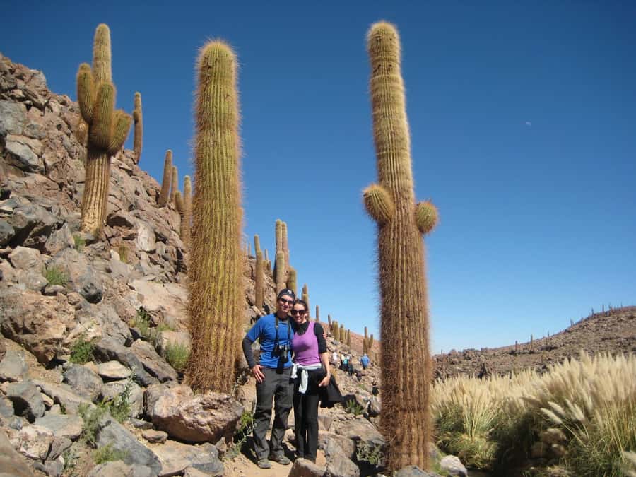 Purilibre Trekking - The Puritama pools after the walk