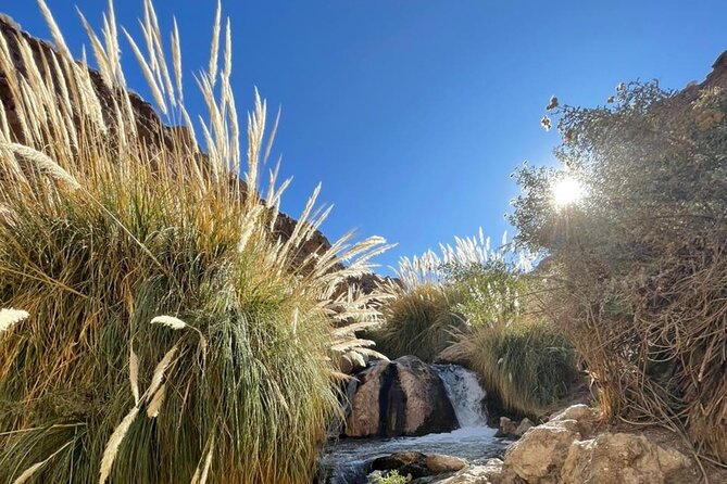 Purilibre Trekking: Disconnection and Nature - A four-hour walk through the high plateau canyon