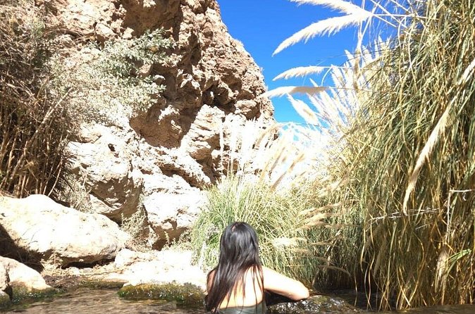 Purilibre Trekking: Disconnection and Nature - Purilibre and the water stop