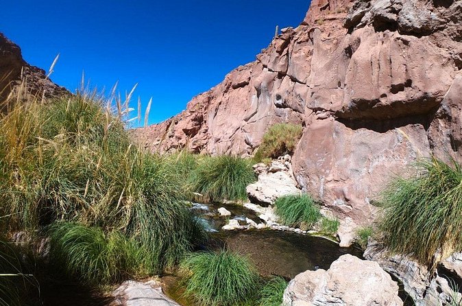 Purilibre Trekking: Disconnection and Nature - Timing, fitness, and the feel of the day