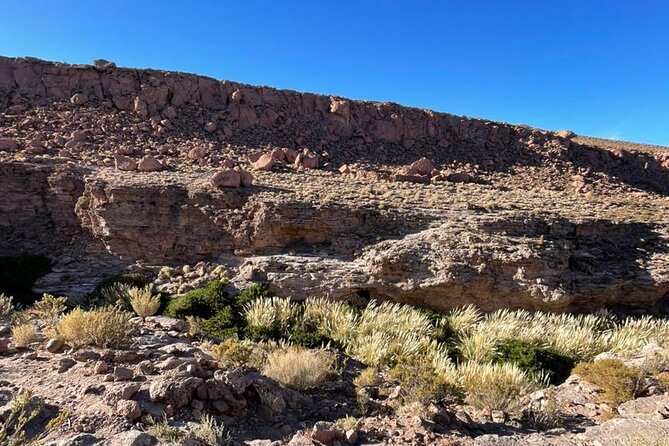 Purilibre Trekking: Disconnection and Nature - Who will enjoy Purilibre Trekking most?