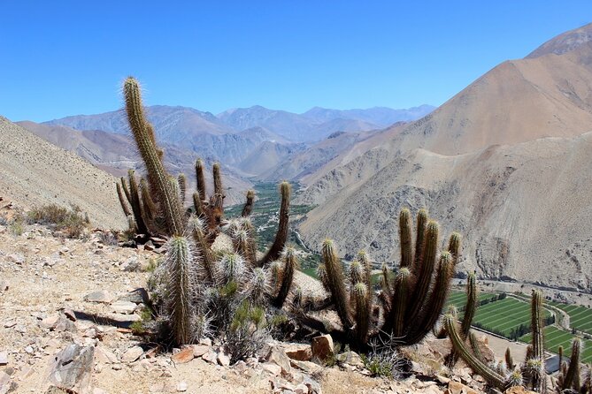 Puritama Canyon and Guatin Trekking - What the Puritama pools are really like