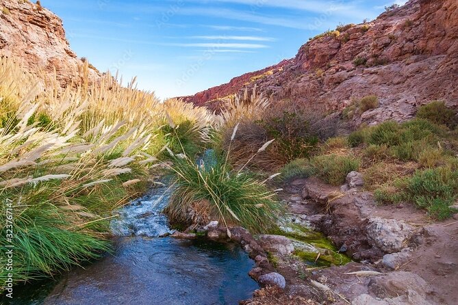 Puritama Canyon and Guatin Trekking - Walking the Puritama Canyon for about an hour